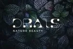 Ahad Regular Typeface Font