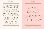 Ahad Regular Typeface Font