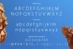 Aidu Font