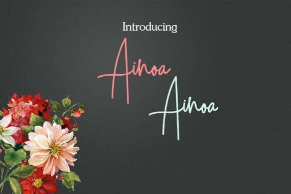 Ainoa Font