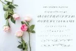 Alandria Font