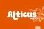 Alaskano Display Font