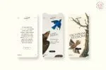 Alchemion - Display Serif Font