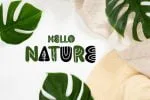 Aleena Groovy Font