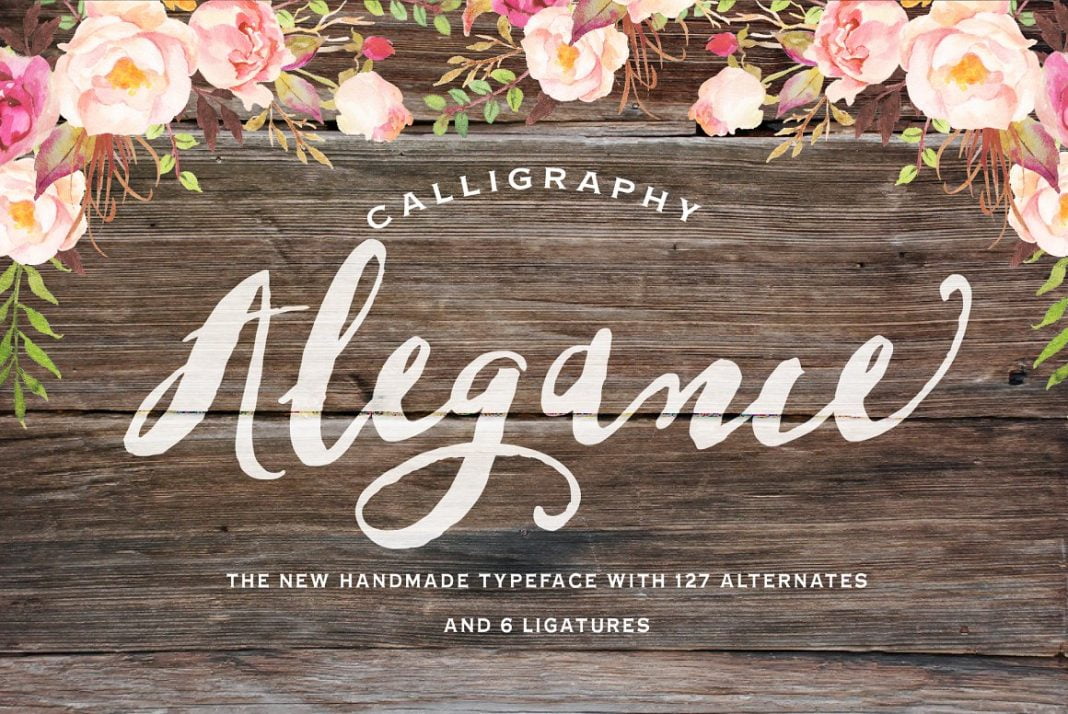 Alegance Typeface Font