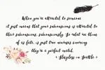 Alegance Typeface Font