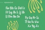 Alenka Font