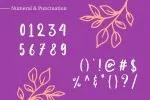 Alenka Font