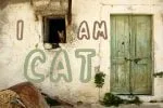 Alert Font