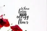 Alfia Font