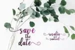 Alfia Font
