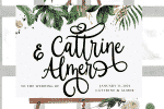 Algisttalleya Font