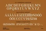 Alice Gottardo Caps Ligatures