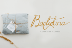 Aliya Jayner Font
