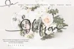 Alleffra Font