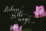 Allefia Font