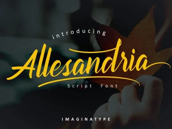 Allesandria Font