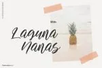 Allietta Font
