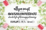 Allysa Script Font