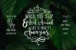 Alocasia-Trio Font Combination