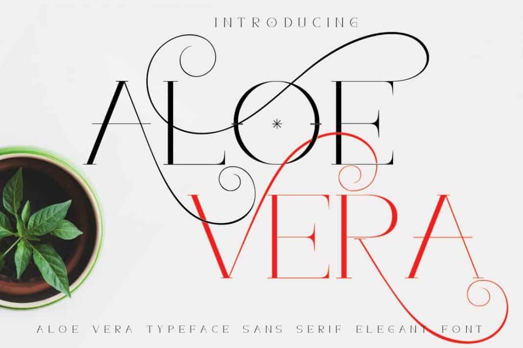 Aloe Vera font