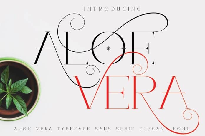 Aloe Vera font