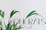 Aloe Vera font