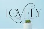 Aloe Vera font