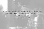 Alpha Anggela Font
