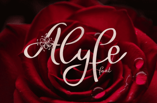 Alyfe Font