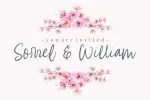 Alyssum Font