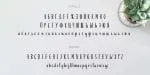 Amalfi Font
