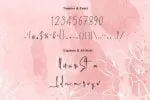 Amalia Country Font