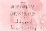 Amalia Country Font
