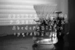 Amalianida Font