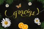Amandella Script Font