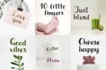 Amanita Font