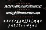 Ambiguous Font