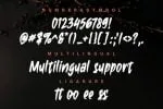 Ambiguous Font