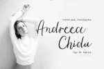 Ambre Script Font