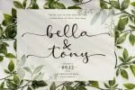 Amelia Stanley Script Font