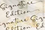 Amelia Stanley Script Font