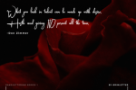 Ameliona Font