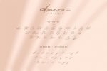 Amera - Signature Script Font