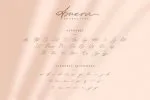 Amera - Signature Script Font