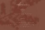Amera - Signature Script Font