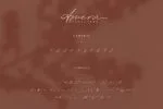 Amera - Signature Script Font