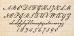 American Scribe