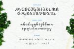 Amerizana Font