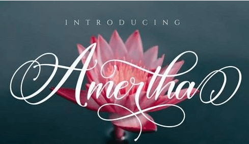 Amertha_a modern calligraphy font
